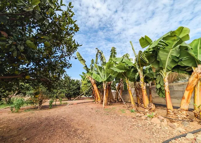 Primavera Appartement