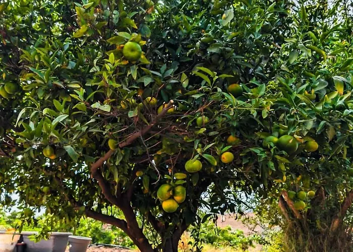 Primavera Appartement