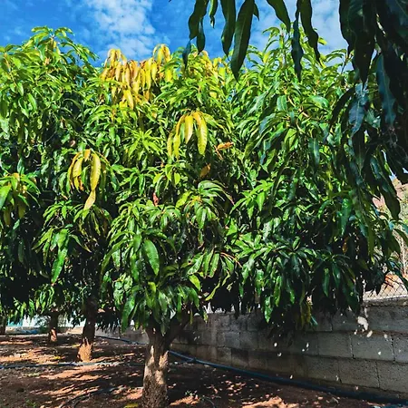 Appartamento Primavera Guaza