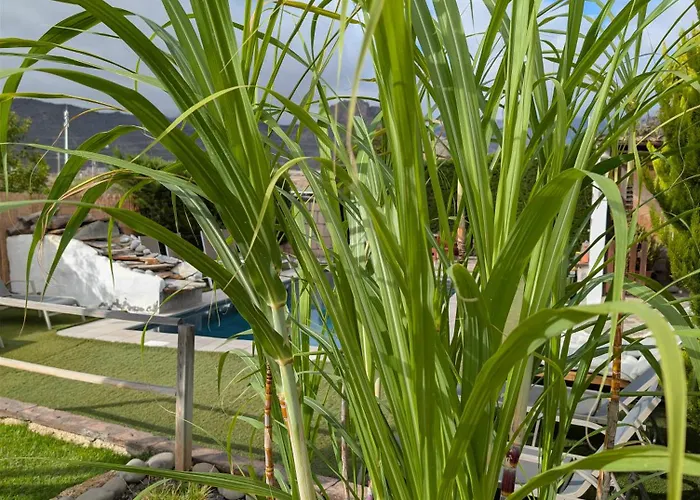 Apartment Primavera *