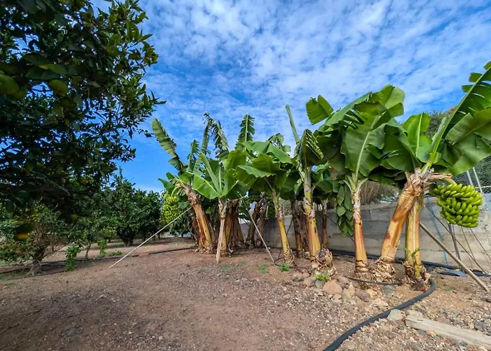 Primavera Apartment Guaza